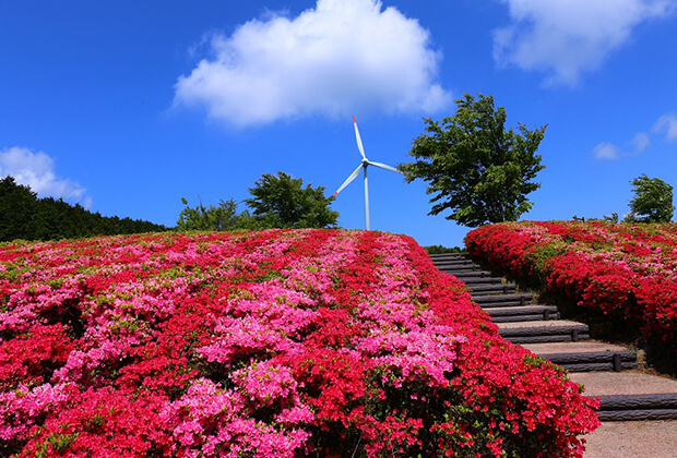 菅無田公園