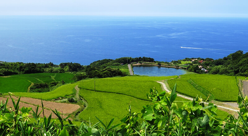 文化が育んだ美しい農村景観